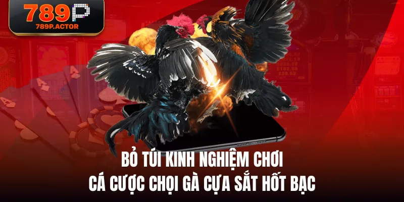 Bỏ túi kinh nghiệm chơi cá cược chọi gà cựa sắt hốt bạc 