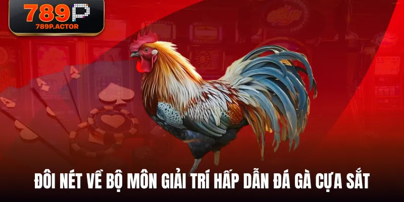 Đôi nét về bộ môn giải trí hấp dẫn Đá Gà Cựa Sắt